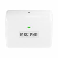 МКС РИП модуль контроля состояния