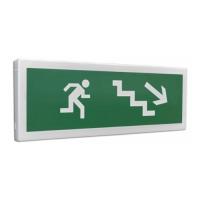 С2000-ОСТ исп.10  "Человек вправо вниз" оповещатель световой адресный