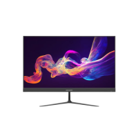 DS-D5024F2-BV2S монитор Hikvision