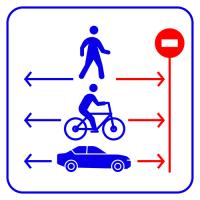 TRASSIR Direction Detector детектор движения в запрещенном направлении