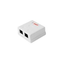 A168 RJ-45 розетка настенная двухпортовая SHIP